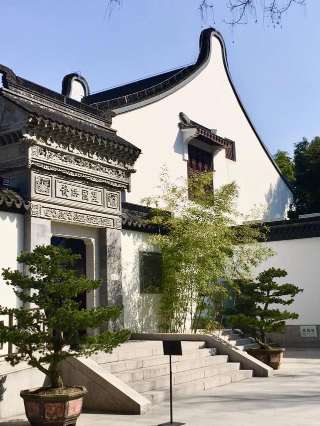 上海解锁“千园之城”,遛娃拍照吸氧圣地,哪个是你最爱?