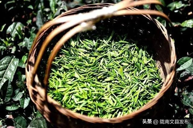 我爱你，文县！