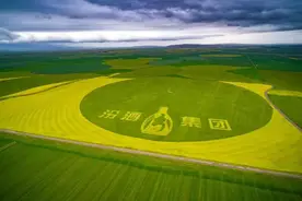 2024年营收突破360亿元，汾酒“复兴纲领”第一阶段收官图片