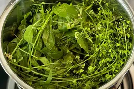 你可曾听说过：“三月三，荠菜赛仙丹”，亲测有用！图片