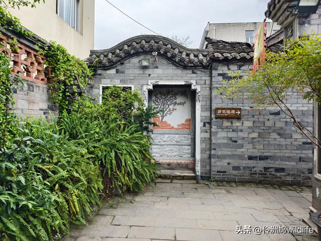 成都古镇（15）郫县唐昌古镇崇宁公园·大椿巷