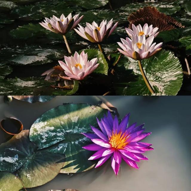 州庆放松记，元阳欢乐享不停！