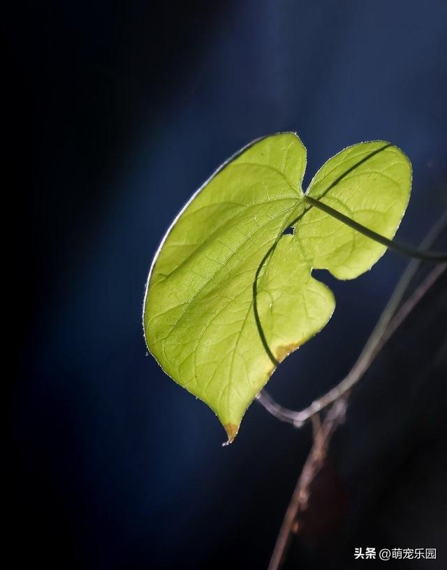 摄影追求清爽感，高手走减法路线，果断舍弃刺眼元素