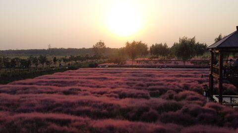 秋季到连云港看什么？
