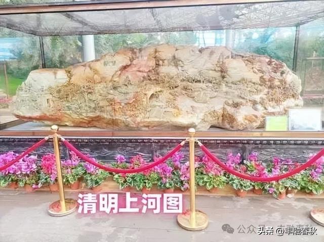 愉悦心情身体健——随“中供社”组团游览“熱代万果园”偶感