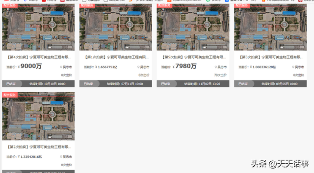 宁夏青铜峡市一个大型工厂拍卖，被一家废品回收公司7980万拍下