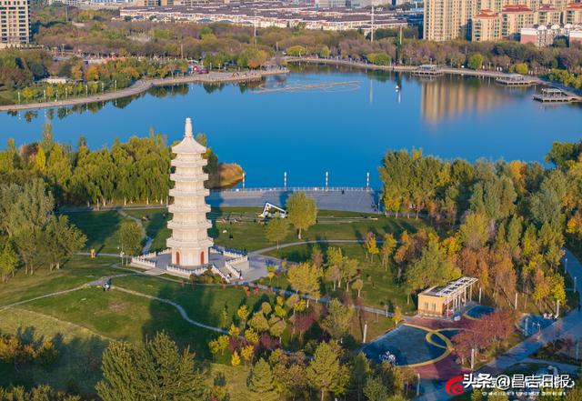昌吉滨湖河中央公园：邂逅一场秋色绮梦