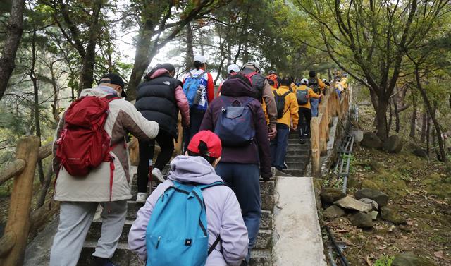 重阳登高正当时 北京900余名爱好者慕田峪长城共赴秋日健身盛宴