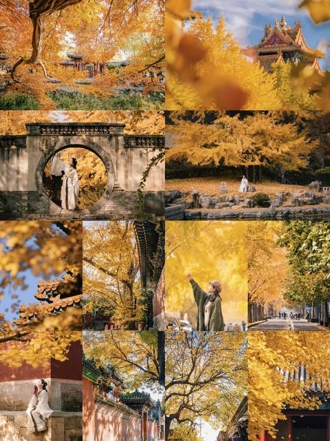 枫景如画，杏色满城！陕西这5个红叶观赏地，每一帧都是大片呈现