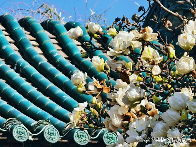 新晋顶流！「阴丹蓝+初雪白」，冬日昆明继续上分，你该换屏保了~