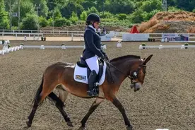 骡子怀孕必死无疑？公骡子和母骡子没法繁殖，但这种情况是例外！图片