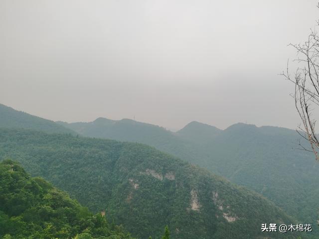 携宠出行第三天