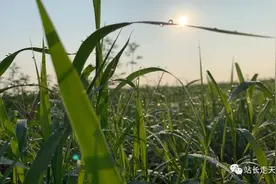 微信查询出轨的证据图片