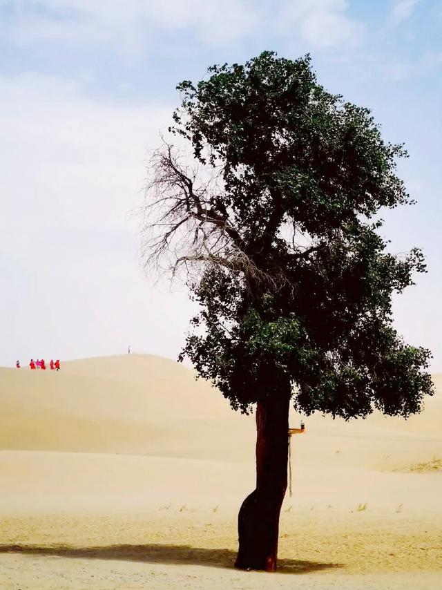 新疆罗布人村寨