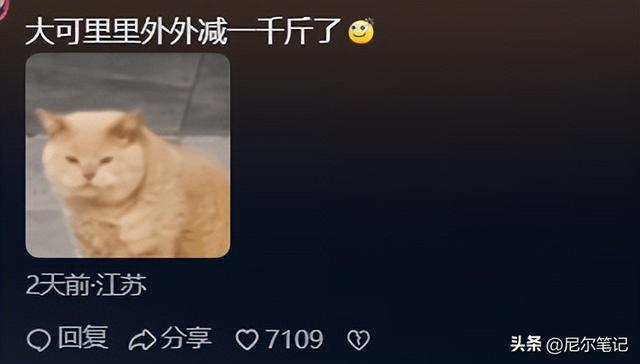 北京250斤女孩睡塌两张床，累积减1000斤，靠减肥自媒体年入100万