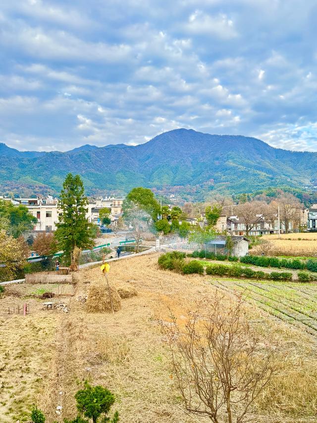 追着晚秋（黟县宏村镇塔川村）