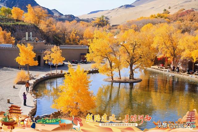 散文写人生｜我爱多坝沟的胡杨 文图/张耀宇