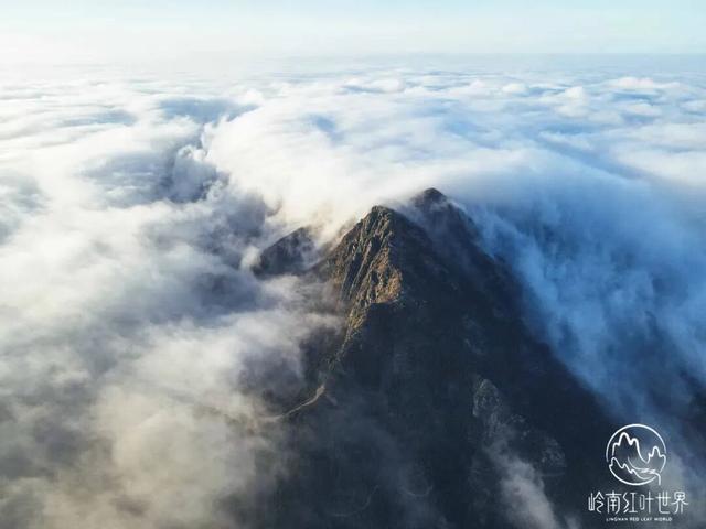 韶关晚秋“神仙景致”：云海、奇峰、秋叶奏响绝美“三重奏”！