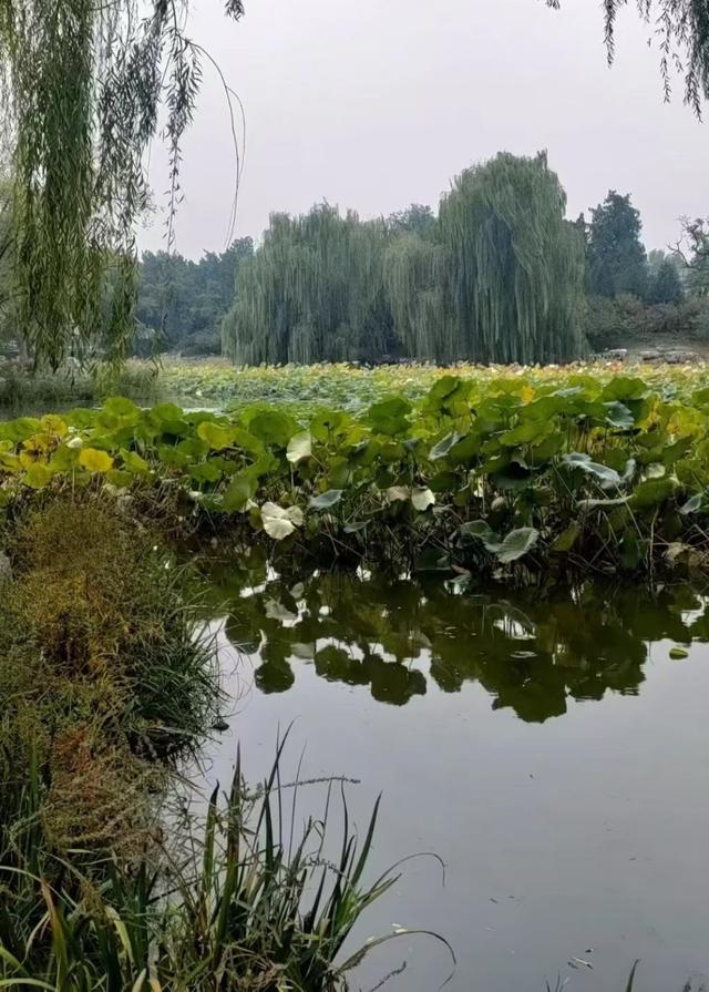 王林平随笔《古人对水域的诗情画意》