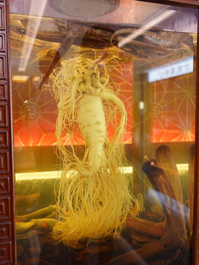 秋冬遛娃“药”新鲜!能吃能玩还能“养”,这条游玩路线一站式拿捏