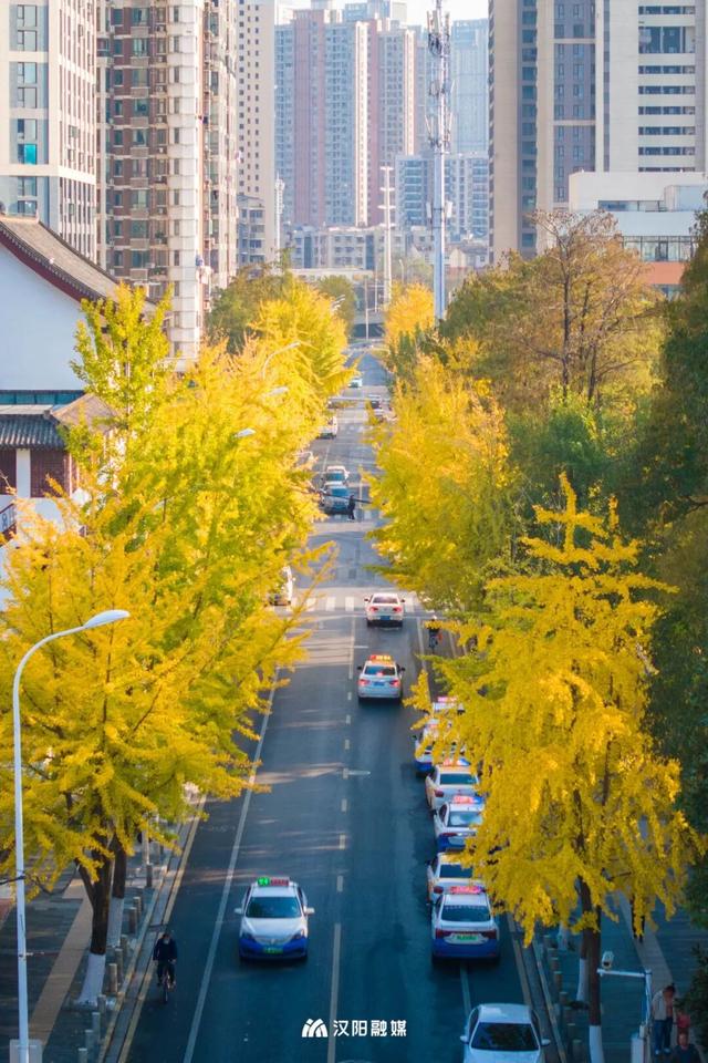 限时绝美！汉阳全城颜值巅峰，零换乘直达