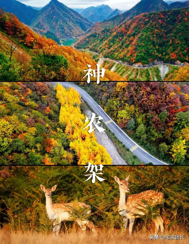 7大被严重低估的5A景区:藏在深闺的宝藏,晚去10年必留遗憾