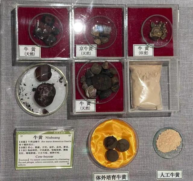走，去中医药博物馆看玛瑙（说笑了~）