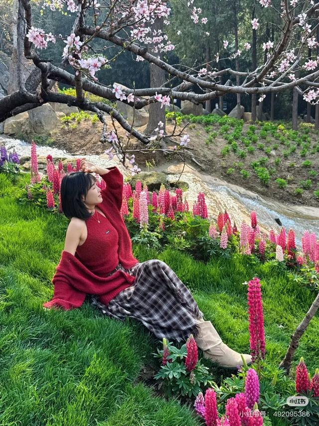 临沂春假旅行指南，请查收