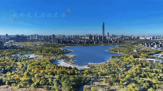 秋之丰硕·西营门街的秋，藏着多少“人间烟火”？