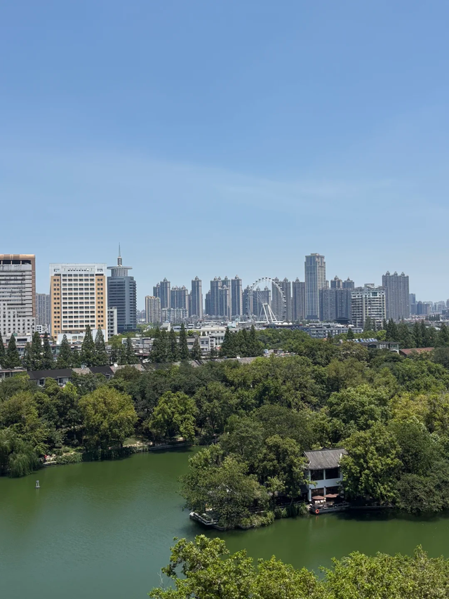 合肥真不是“过路城市”，越品越有味，一不小心就爱惨了！