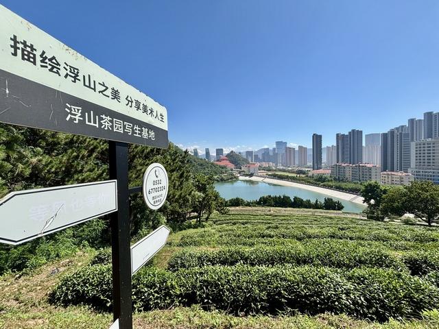 假日休闲哪里去？记一位大学女教授的假日休闲时光