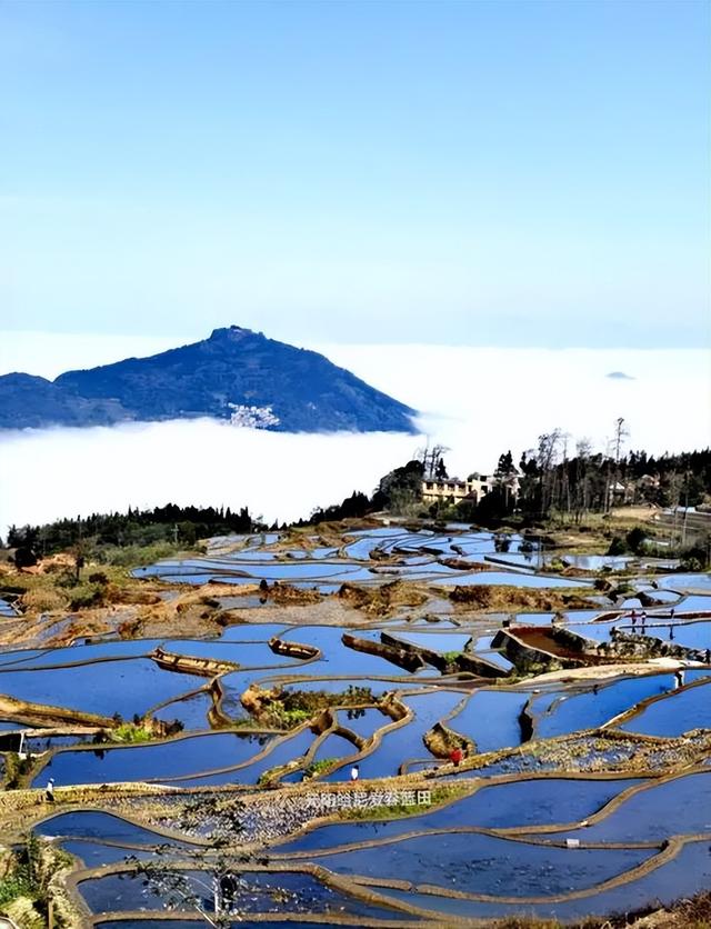反向操作真香！冬季避开人潮的云南小众玩法，人少景美还省钱