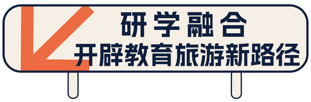 入选长三角典型案例！