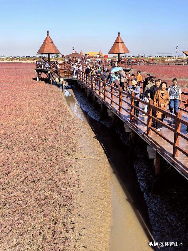 2025辽宁赏秋之旅日记(5)——从本溪前往盘锦 游览红海滩景观