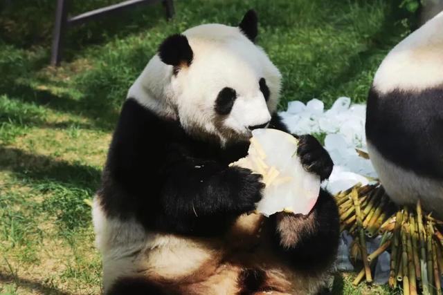 玩转2026！东胜跨年活动全攻略→