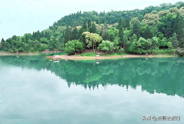 成都山地红梅开花了，粉红云霞铺天盖地，非常震撼，免费！