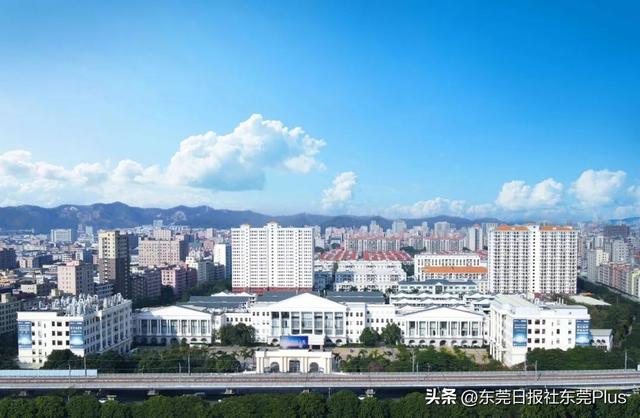 全球首个药物制剂AI大模型东莞问世