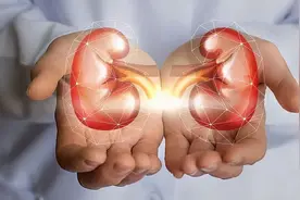 补肾的重中之重在于“守精”，守住了肾精，才是守住了“根本”图片