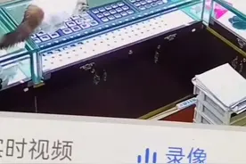 上海一珠宝店钻石误被猫咪吞食，店员：老板戴手套从大便里掏出图片