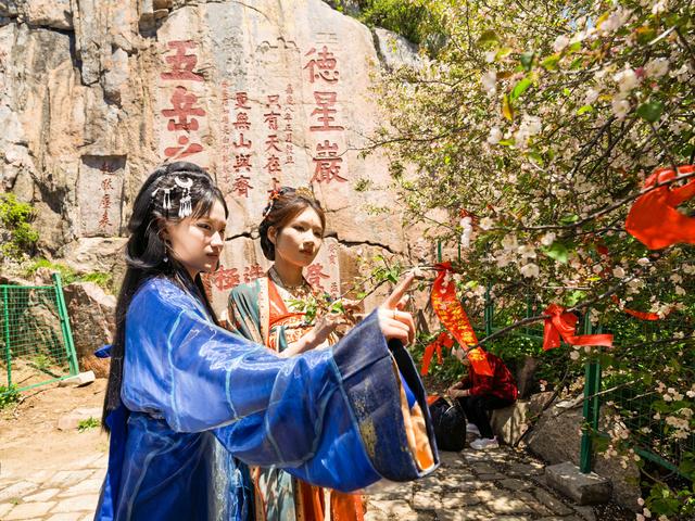 海棠花与汉服佳人的泰山之约