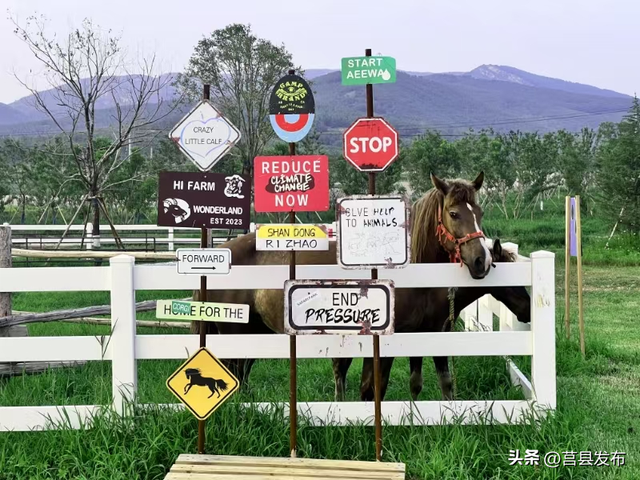 日照有一个美好的地方叫：龙山！