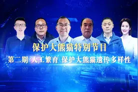 《绿色中国云对话》保护大熊猫特别节目（二）图片