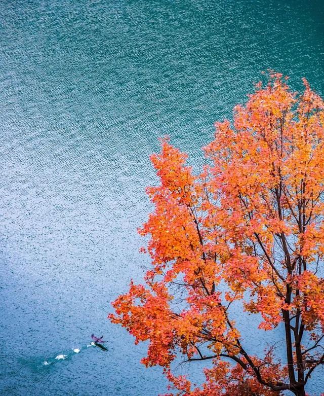 利州＝梦幻秋色打卡地