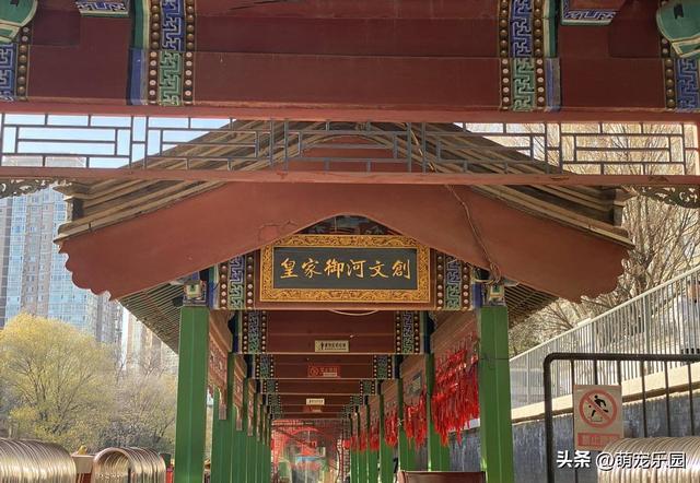 紫竹院冬日偶遇退休教授，一句话让我明白生活9个层次