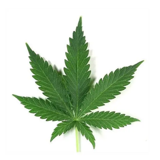 突传消息！中国籍男歌手涉毒被捕！