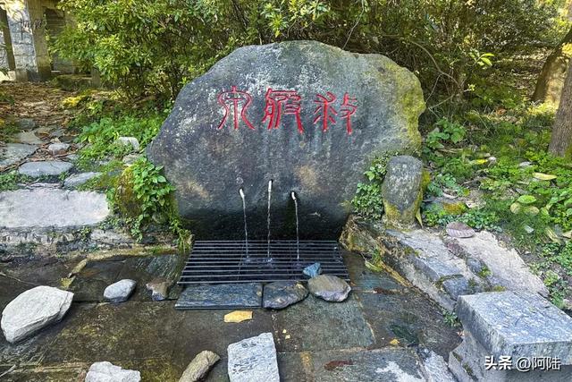 初访大理无为寺,宁静包容和不争的氛围着实感人,可惜不允许拍照