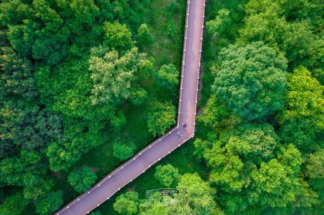 活力宝安城区指南｜山海蓝绿瞬间：山水连城，绿动宝安！