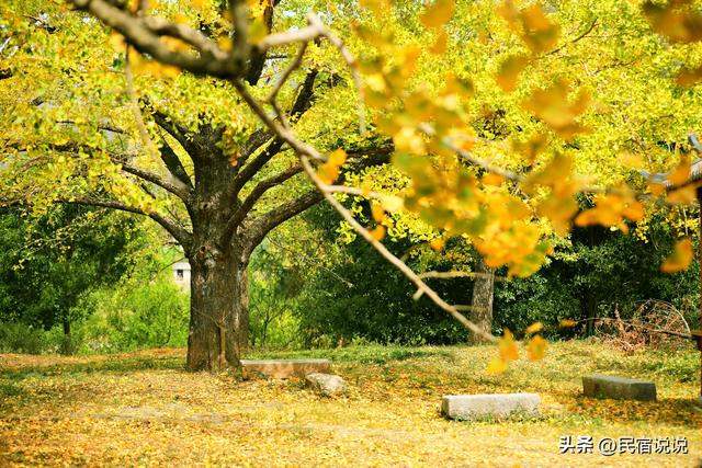 高铁真的开进桂林水墨画里了
