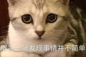 胎儿无声的危机：地中海贫血图片