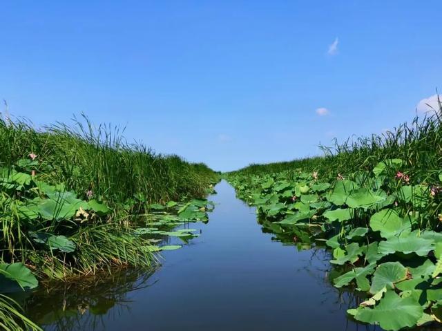 济宁文旅再添新名片！微山湖渔家水街景区成功获国家4A级旅游景区